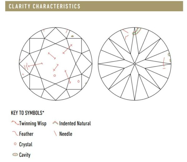 SI2 Diamond GIA Cert Clarity Section